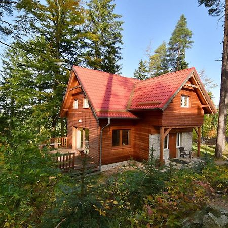 Leśny Domek koło Karpacza - Apartamentuj Zewnętrze zdjęcie