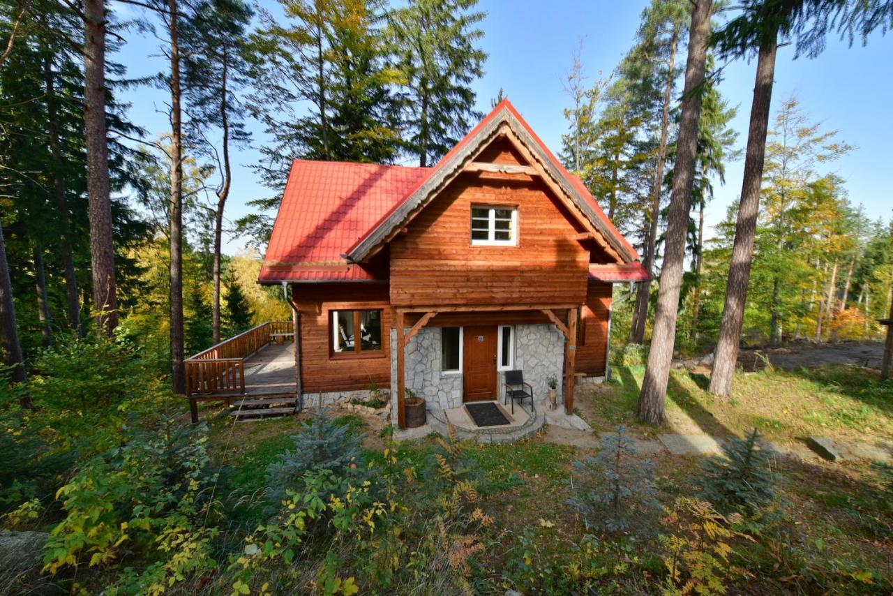 Leśny Domek koło Karpacza - Apartamentuj Zewnętrze zdjęcie