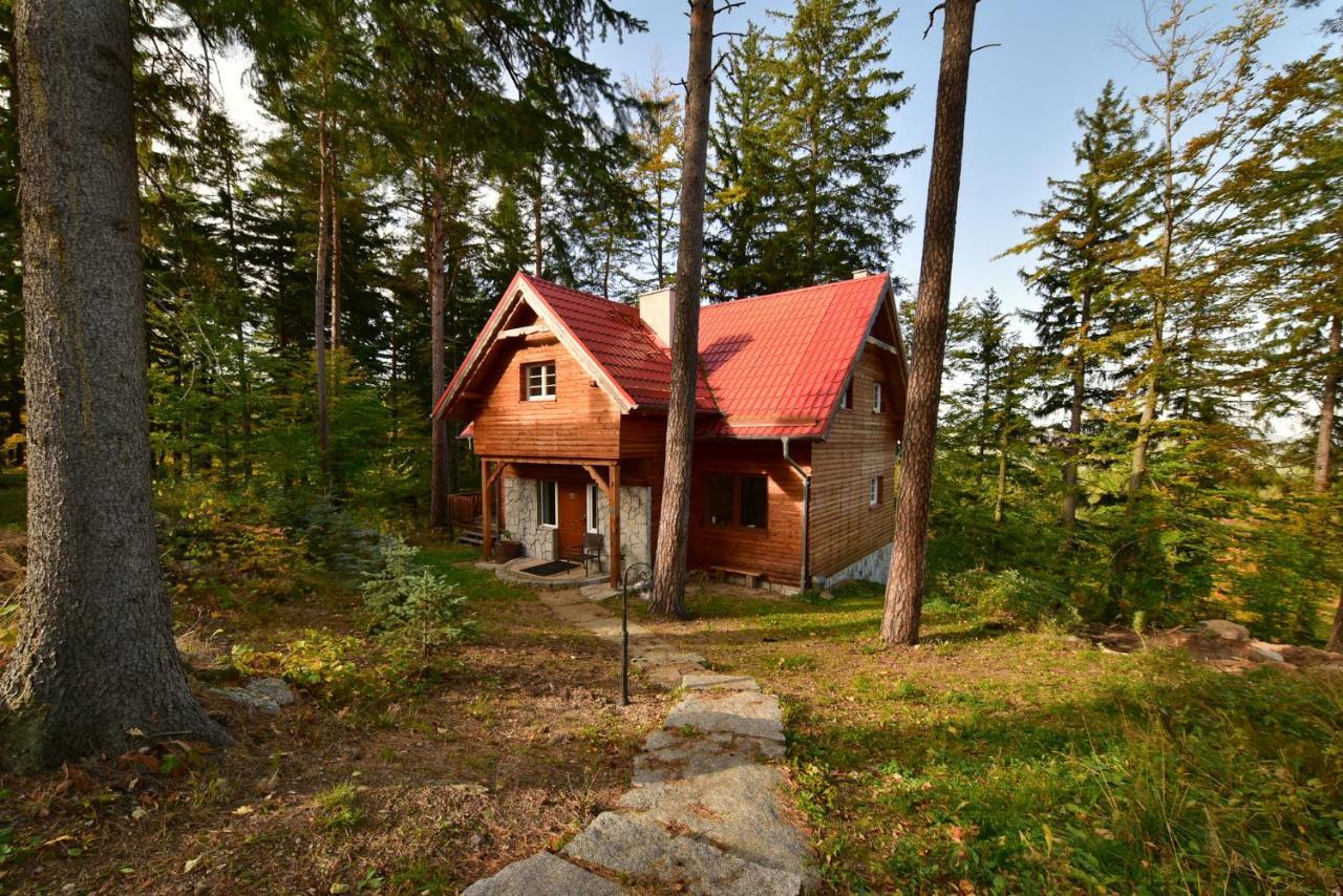 Leśny Domek koło Karpacza - Apartamentuj Zewnętrze zdjęcie