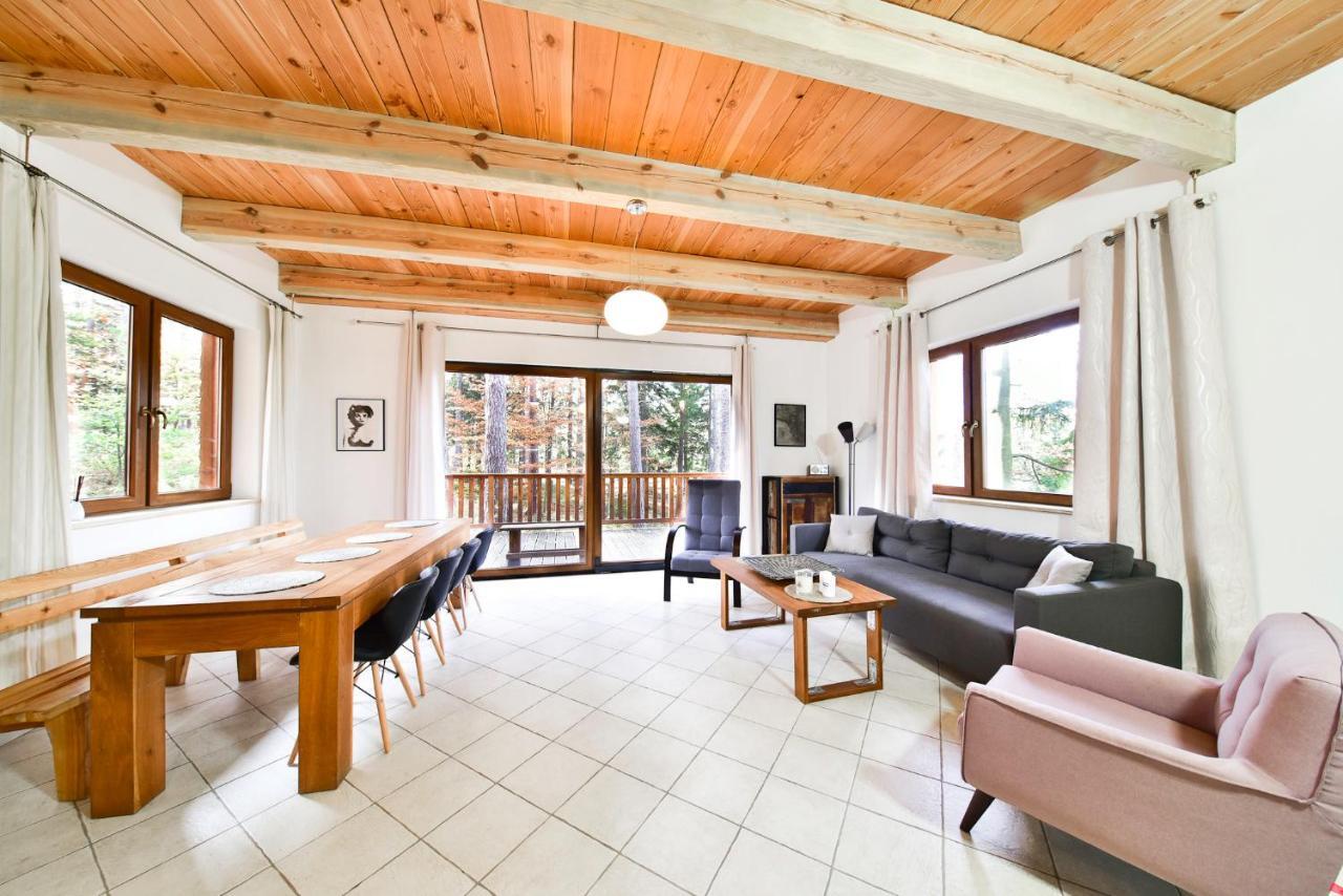 Leśny Domek koło Karpacza - Apartamentuj Zewnętrze zdjęcie